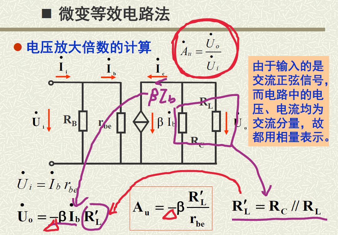 image-20230526203913772