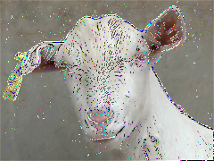 Unsharp_Masking_k_0.500000