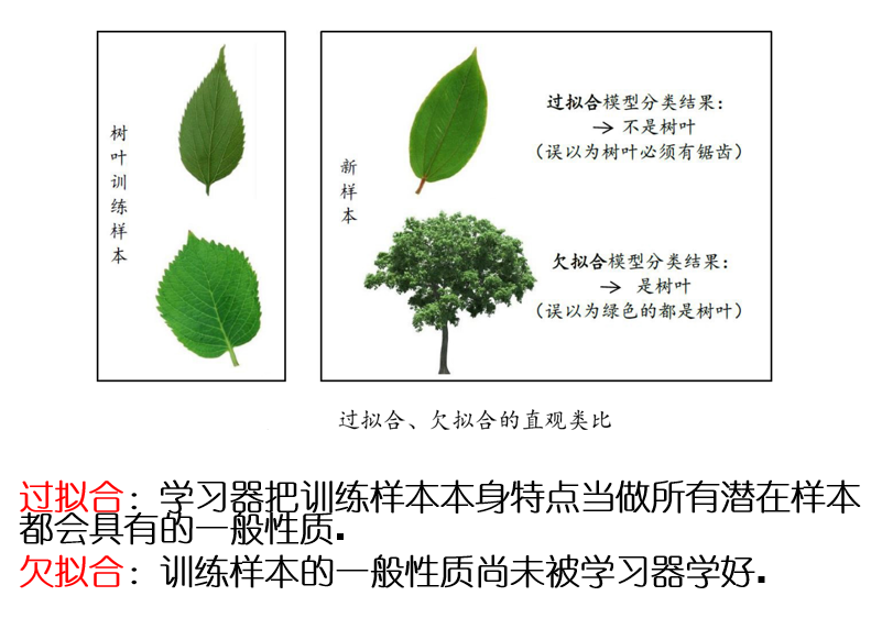 image-20240108102634470