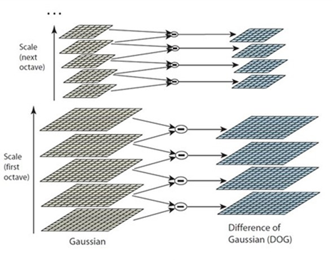 image-20240619192829599